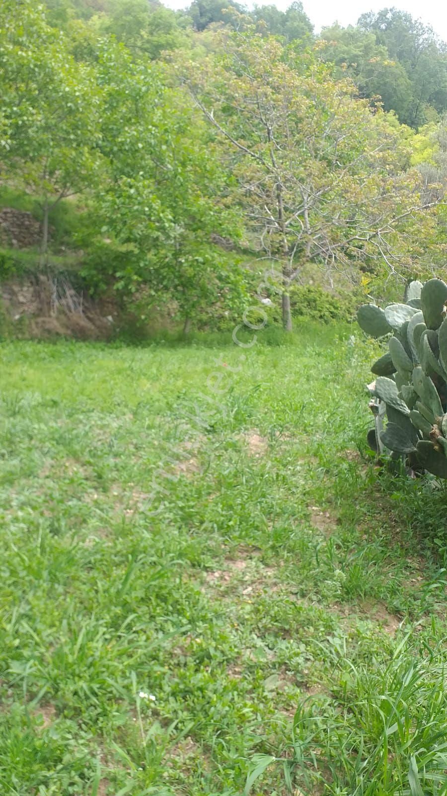 306 M² Hobi Yerimiz Satılıktır