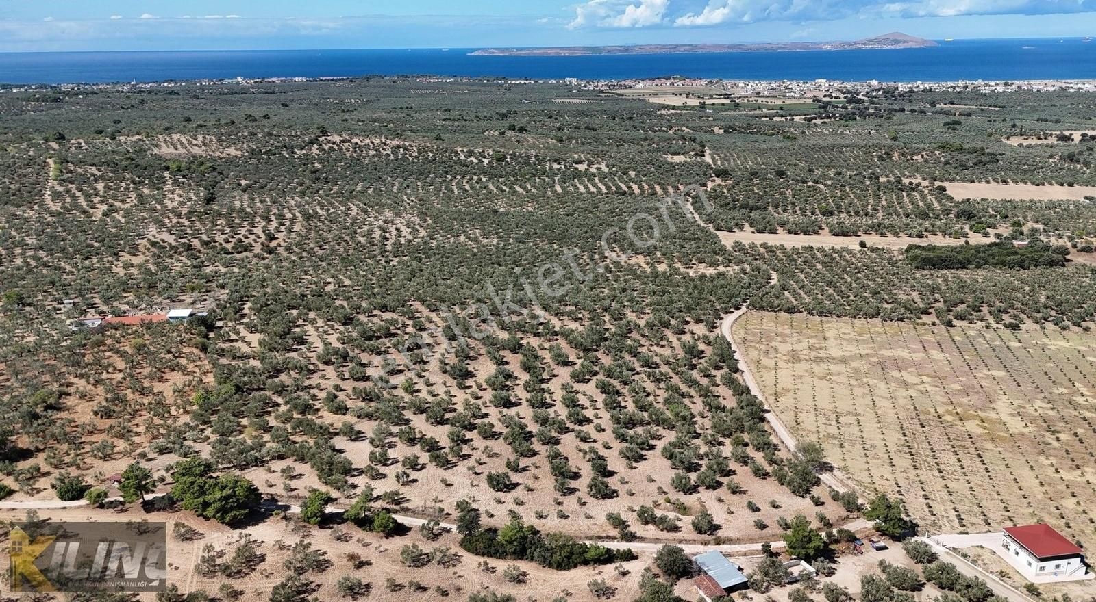 Geyiklimerkeze 500metre Deniz Manzaralı Suyu Olankupon Zeytinlik