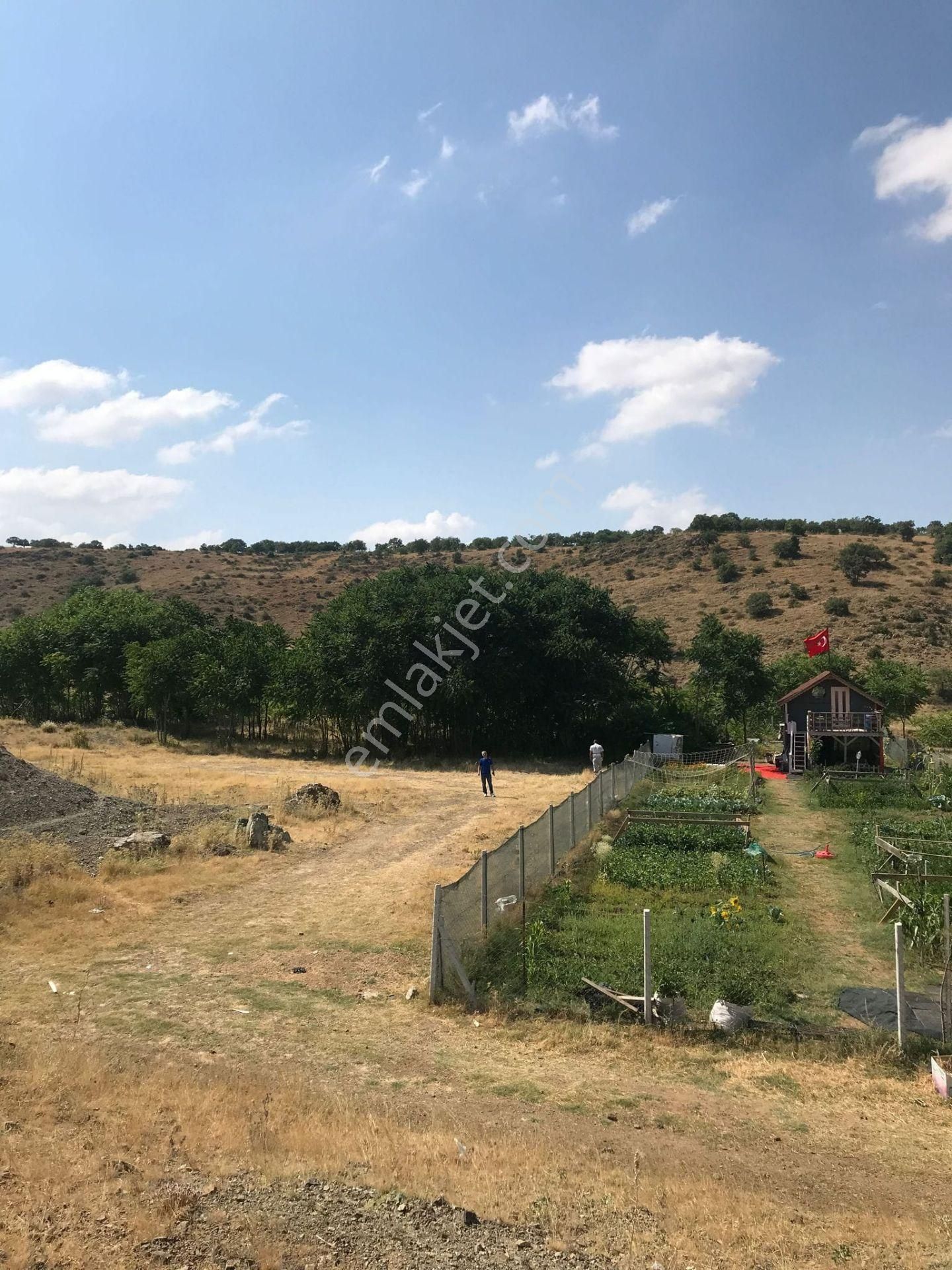 Satılık Bağ Satılmışoğlu'da Tek Tapulu