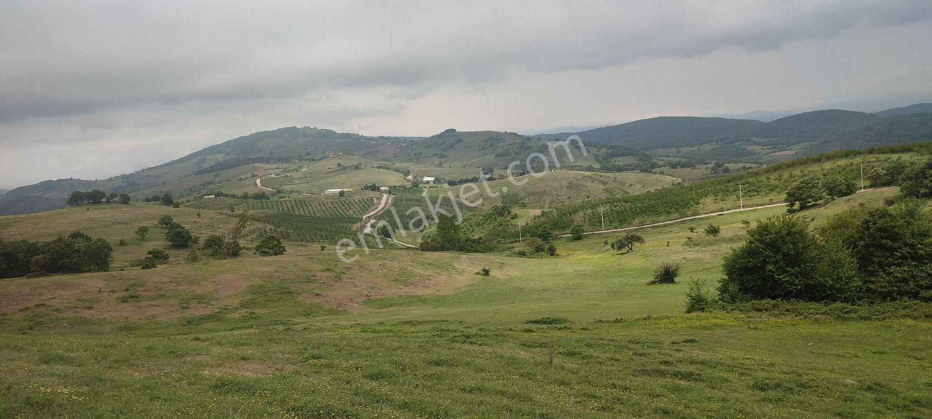 Karamürsel Fulacık Mahallesi'nde Resmi Yola Cephe 12721 M2 Satılık İmarlı Tarla