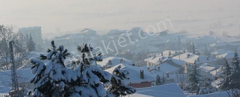 🌾 Satılık Tarla – Bursa / Yenişehir / Subaşı Mahallesi - Görsel 2