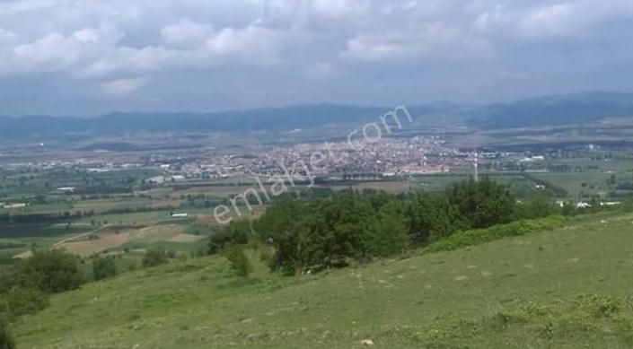 🌾 Satılık Tarla – Bursa / Yenişehir / Subaşı Mahallesi - Görsel 11