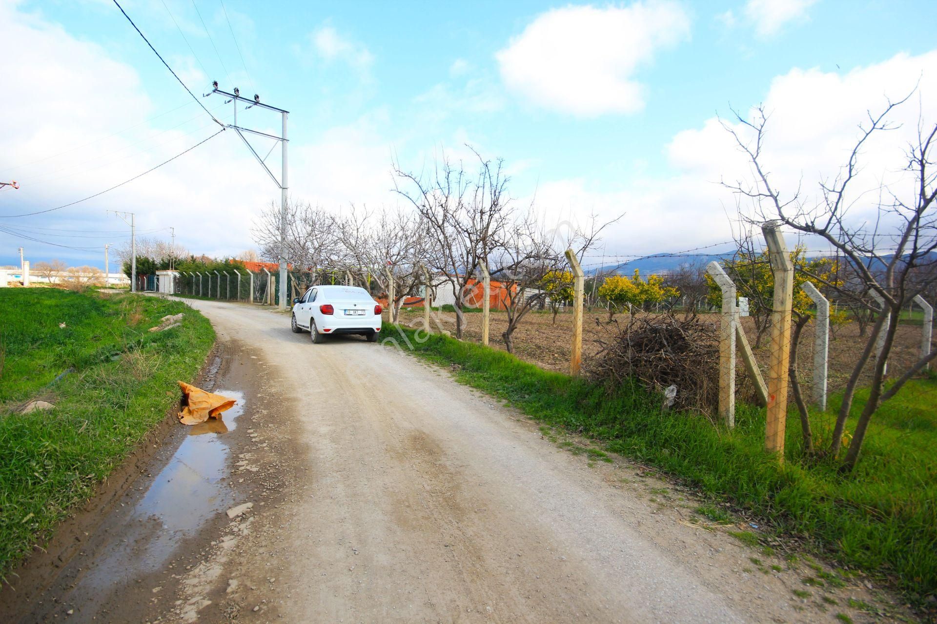 🌹🌹aktif'ten Börezli'de 1.261 M2 İçerisinde Çeşitli Meyve Ağaçları Olan Mükemmel Satılık Tarla🌹🌹