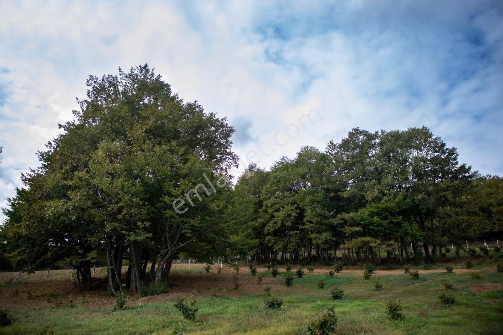 Ultra Lüks Sıfır Çiftlik Evi (taş Ev) - Görsel 34