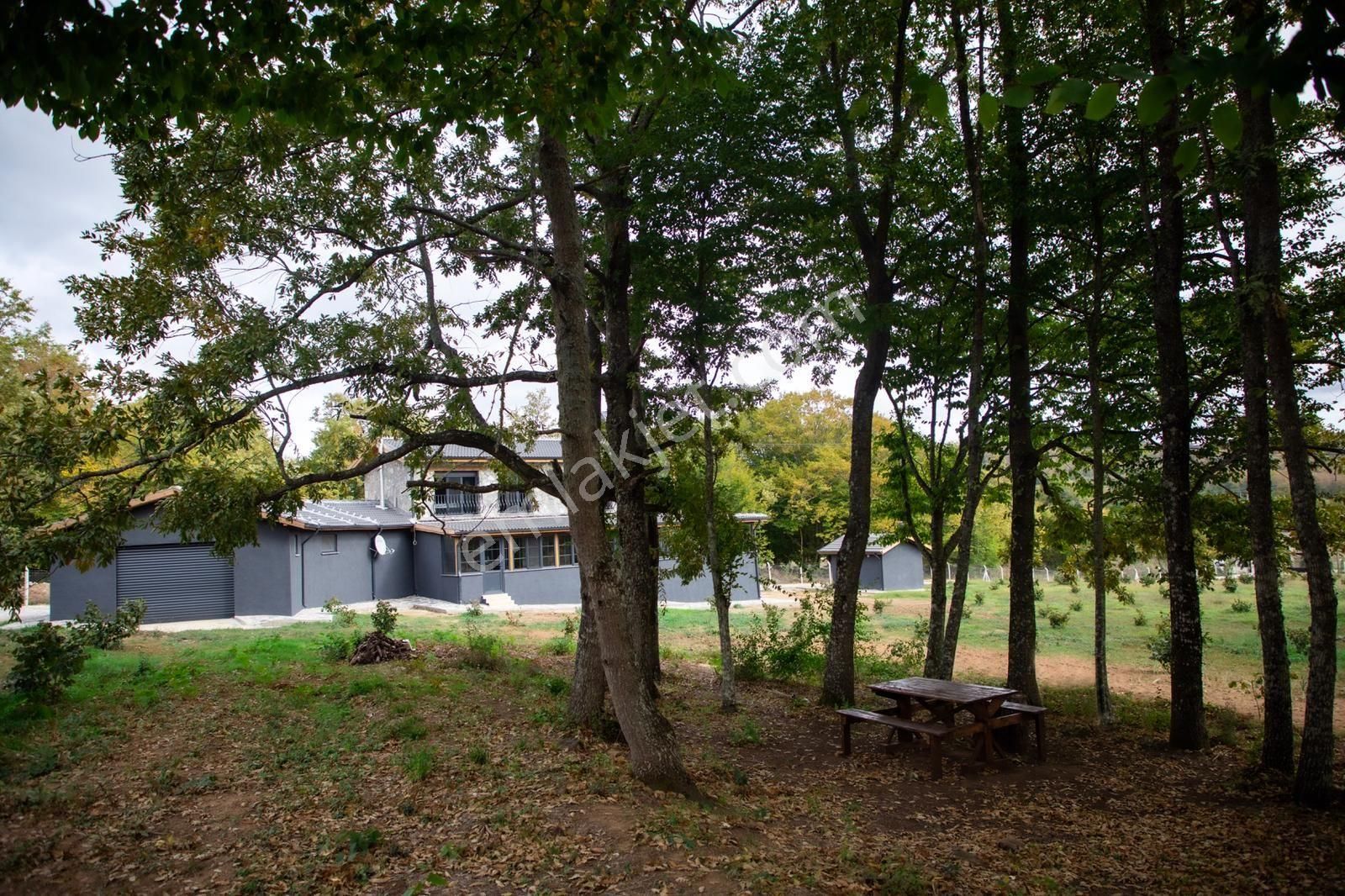 Ultra Lüks Sıfır Çiftlik Evi (taş Ev) - Görsel 6