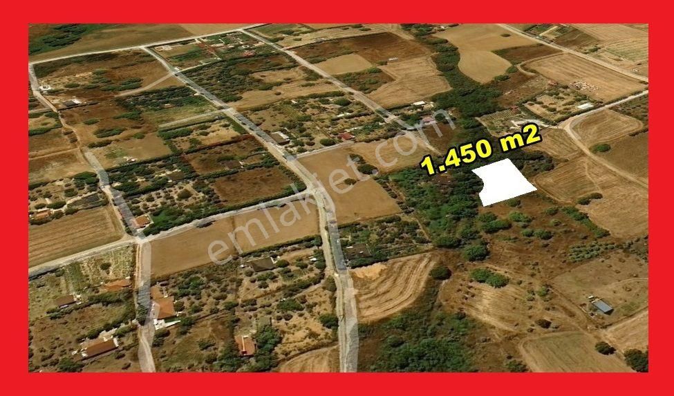 Bölge Emsallerinin Çok Altında 1.450m2 Tek Tapu Bağ Yeri