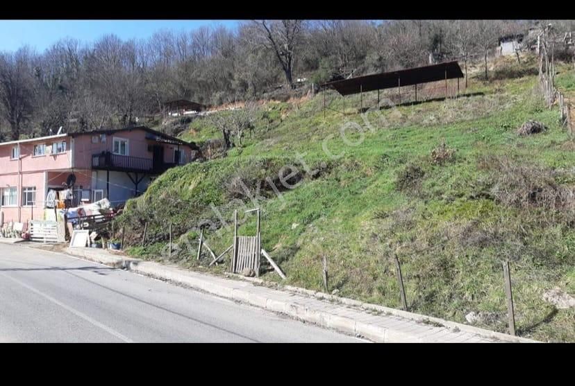 Beykozda 754 M2 ,0.20 Emsal ,konut İmarlı Anayola Cephe