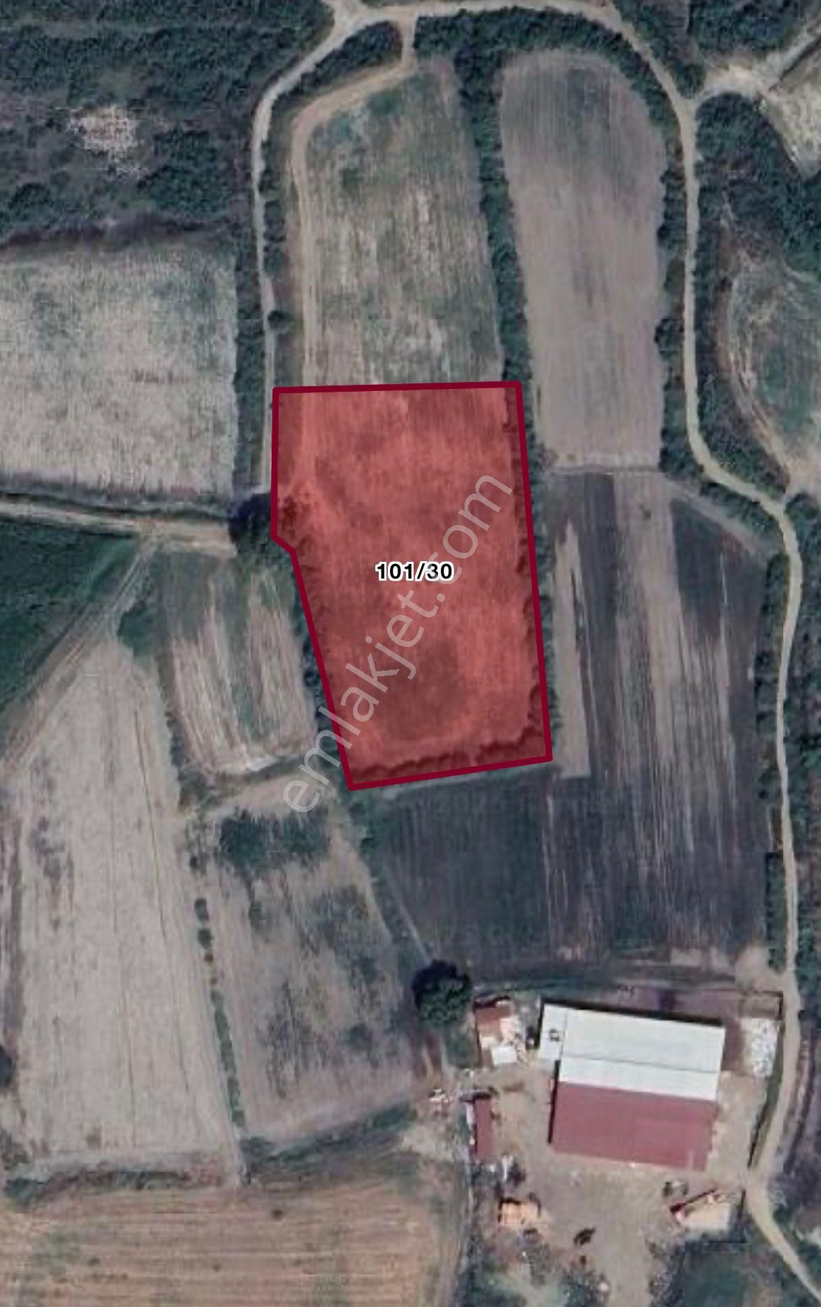 Muğla Milas Gölyaka'da Satılık Düz Tarla - Görsel 5