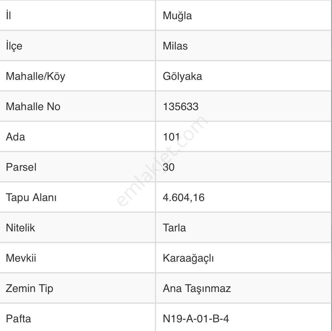 Muğla Milas Gölyaka'da Satılık Düz Tarla - Görsel 2