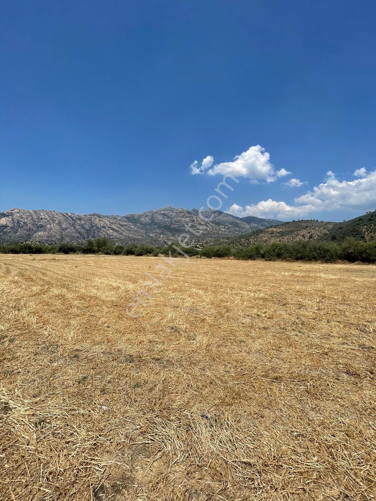 Muğla Milas Gölyaka'da Satılık Düz Tarla - Görsel 8