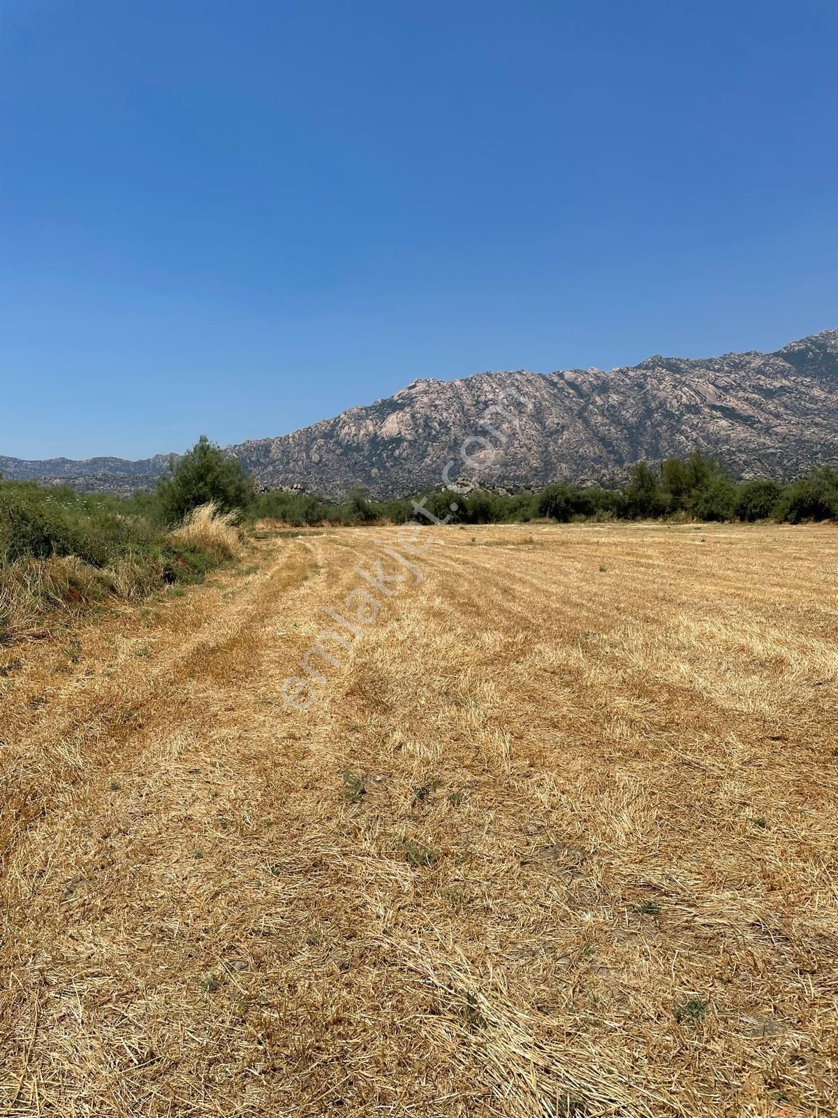 Muğla Milas Gölyaka'da Satılık Düz Tarla - Görsel 7