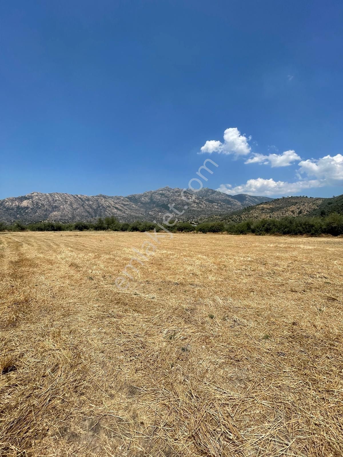 Muğla Milas Gölyaka'da Satılık Düz Tarla - Görsel 3