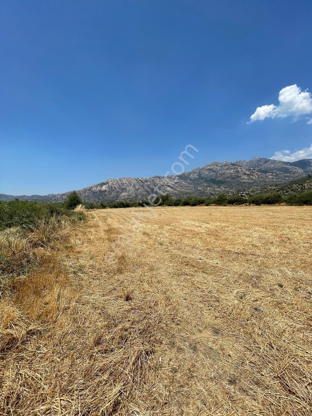 Muğla Milas Gölyaka'da Satılık Düz Tarla - Görsel 6