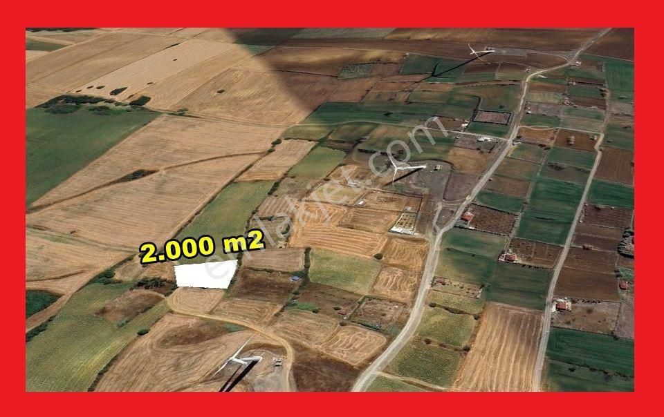 Muratlı Balabanlı Köyünde 2.000m2 Tek Tapu Bağ Yeri