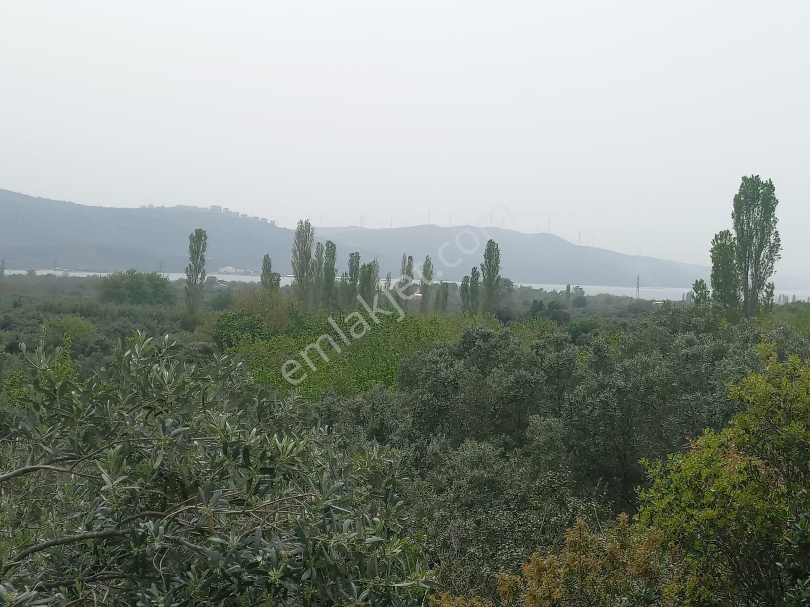 Erdek Hamamlı Mahallesinde Deniz Manzaralı 2.670m2 Satılık Arazi