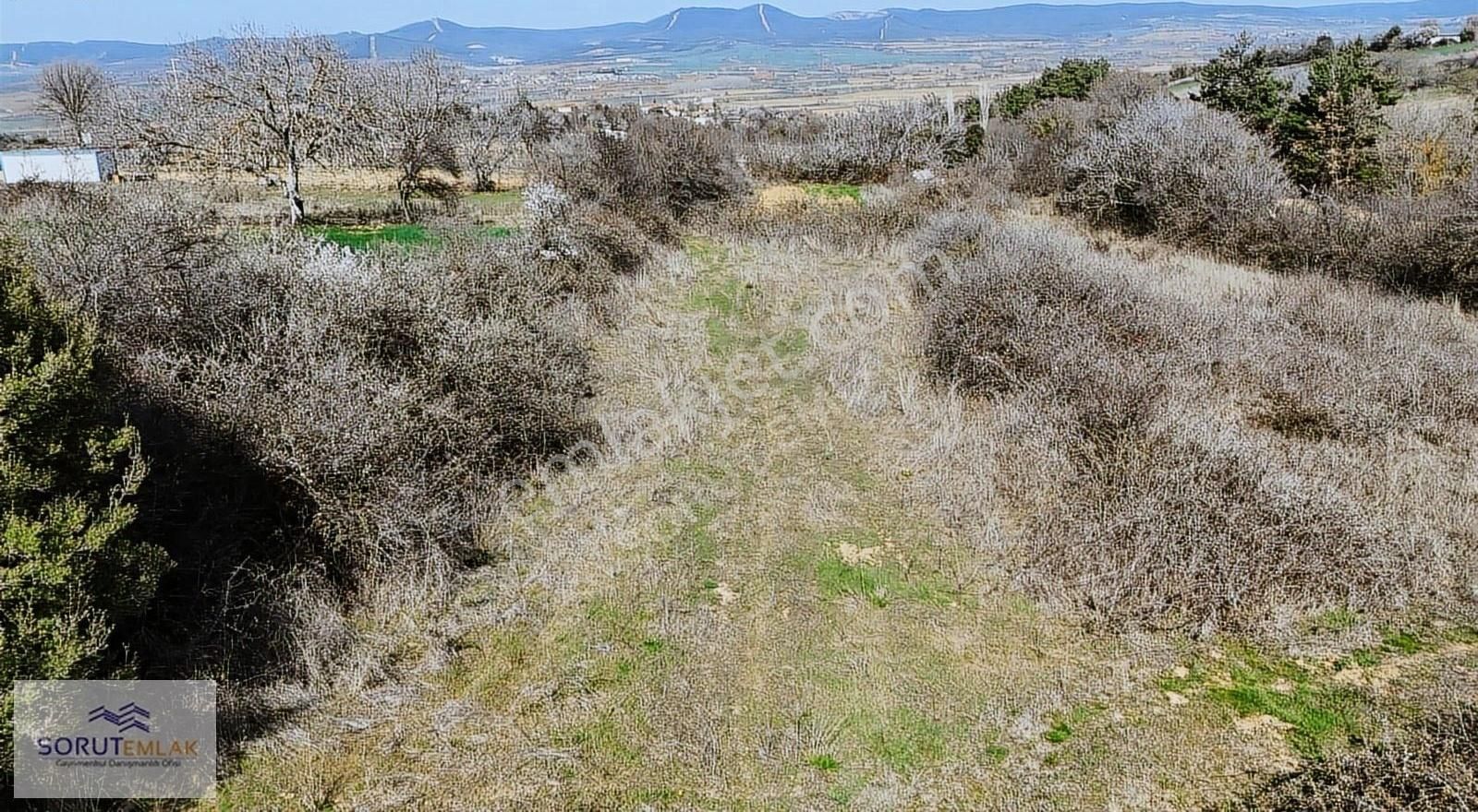 Çamlıca Köy'ü Satılık 1.060 M2 Tarla