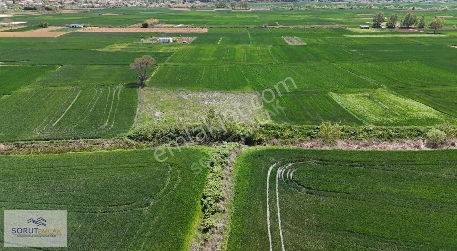 Mecidiye Köye Yakın Konumda Müstakil Tapu 1.594 M2 Satılık Tarla