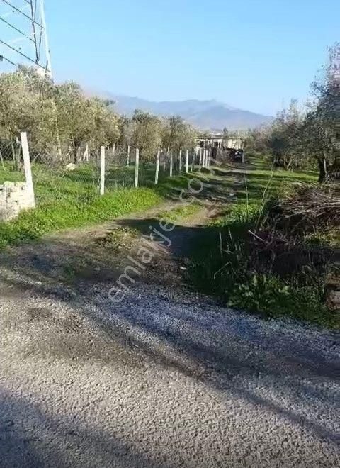 Aliağa Barbaros Hayrettin Paşa Mahallesinde 251 M2 Satılık Tarla