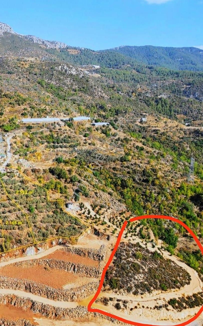 Alanya Yenice Mahallesinde Yatırımlık Harika Konumda Tarla