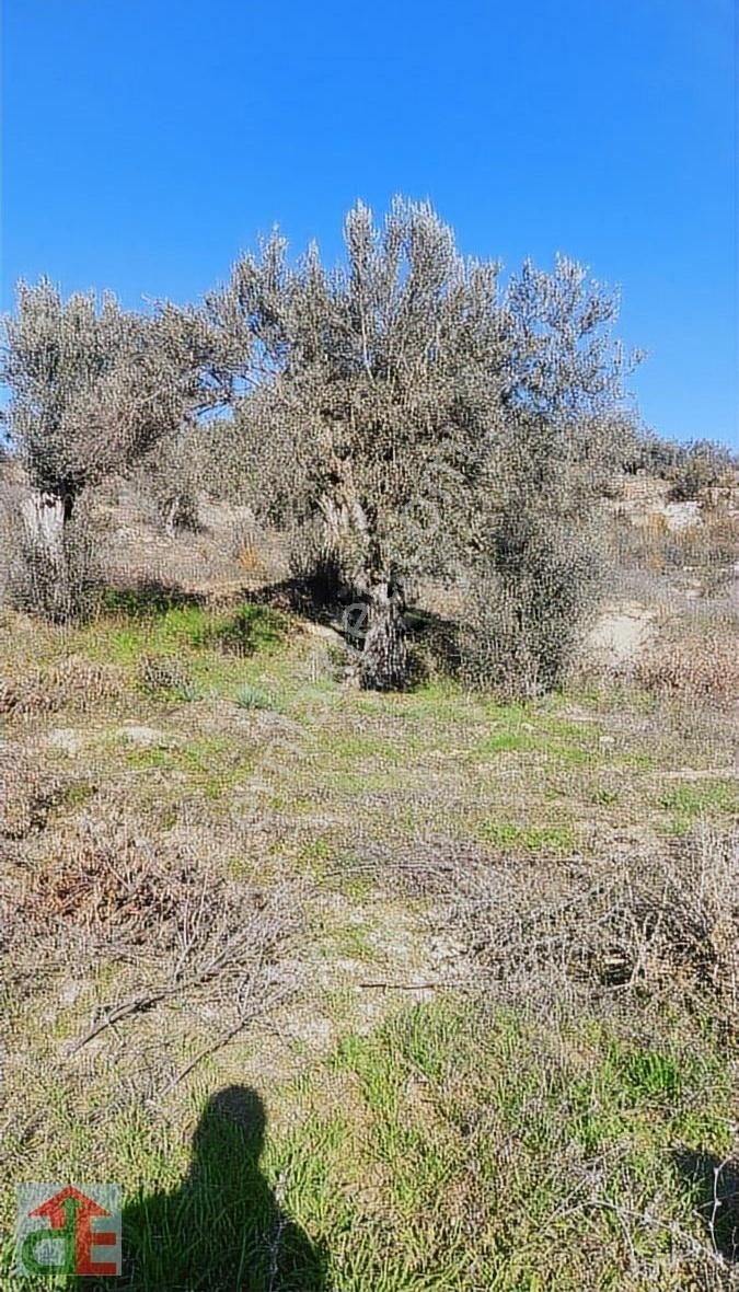 Fulll Deniz Ve Orman Manzaralı Manavgat Hocalar Da Müstakil Arsa