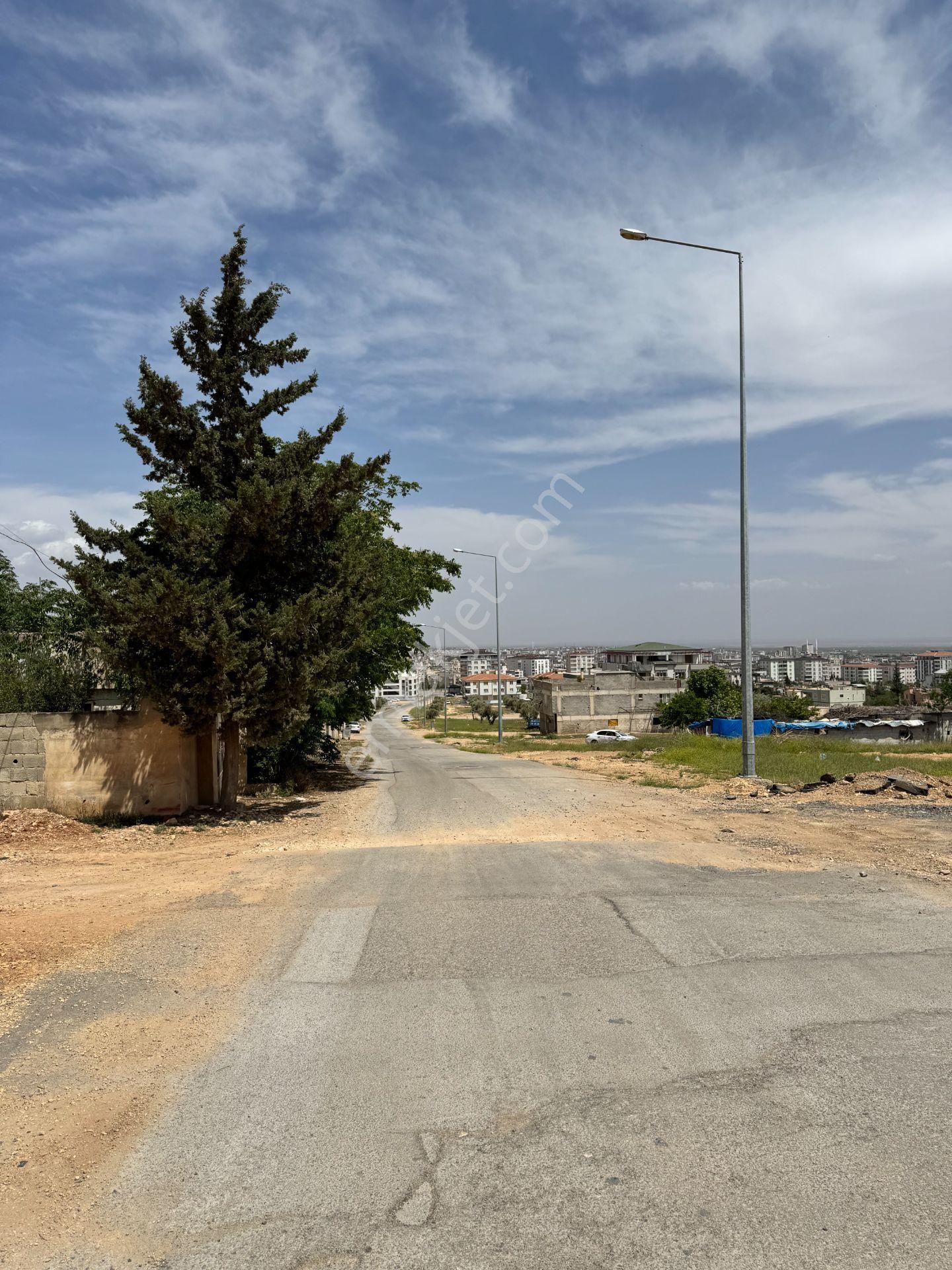 Babil'den Satlık Şıh Mehmet'te Projelere Açık Villa Arsası 4253m - Görsel 11