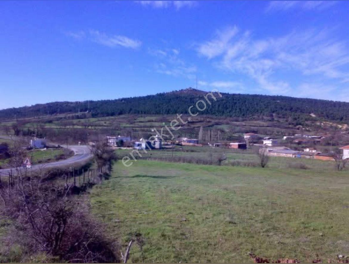 🏡 Çanakkale / Bayramiç / Muratlar Köyü’nde Satılık Arsa & Tarla - Görsel 3