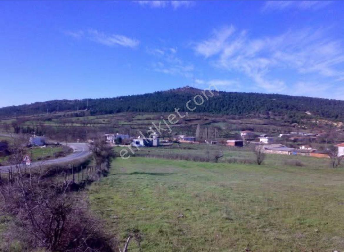 🏡 Çanakkale / Bayramiç / Muratlar Köyü’nde Satılık Arsa & Tarla - Görsel 4