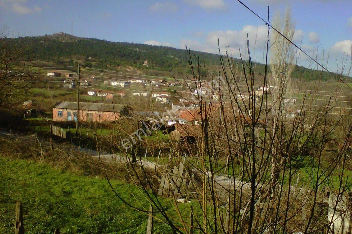 🏡 Çanakkale / Bayramiç / Muratlar Köyü’nde Satılık Arsa & Tarla - Görsel 7