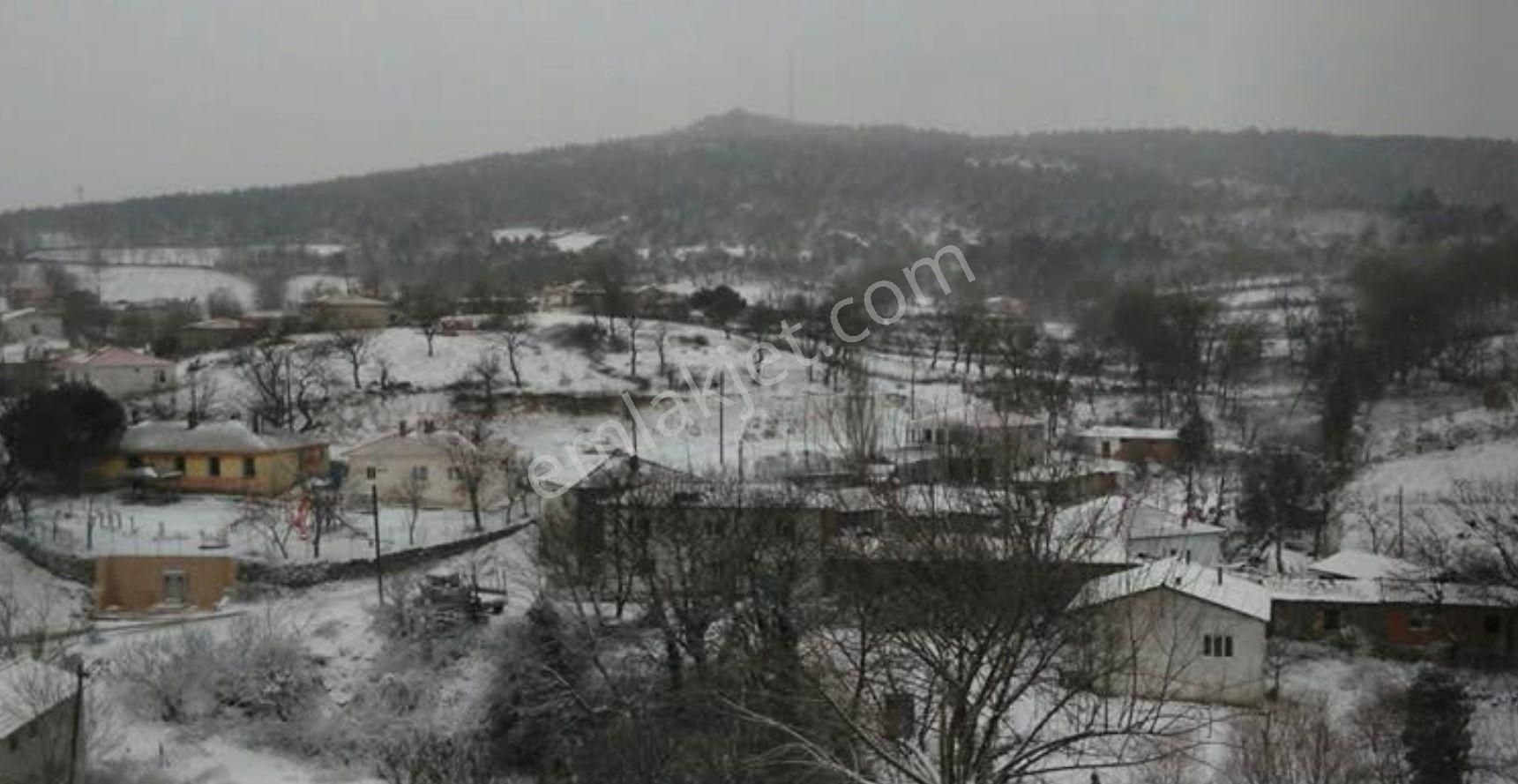 🏡 Çanakkale / Bayramiç / Muratlar Köyü’nde Satılık Arsa & Tarla - Görsel 2