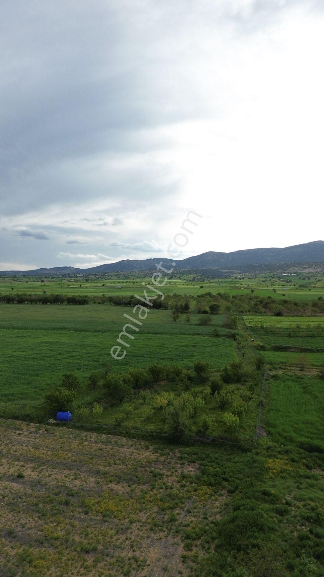 Korkuteli Yeltende Acil Satılık Hazır Yetişmiş Ağaçları İle Sulak Bahçee - Görsel 20