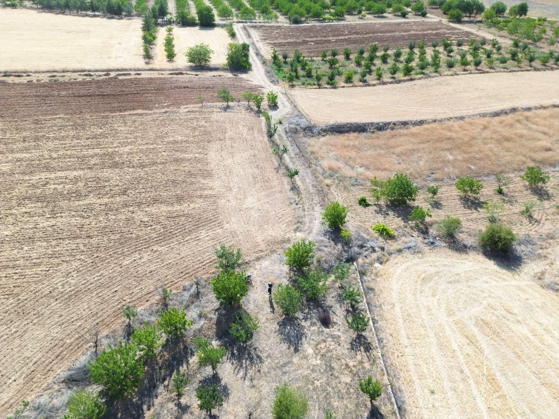 Korkuteli Yeltende Acil Satılık Hazır Yetişmiş Ağaçları İle Sulak Bahçee - Görsel 16