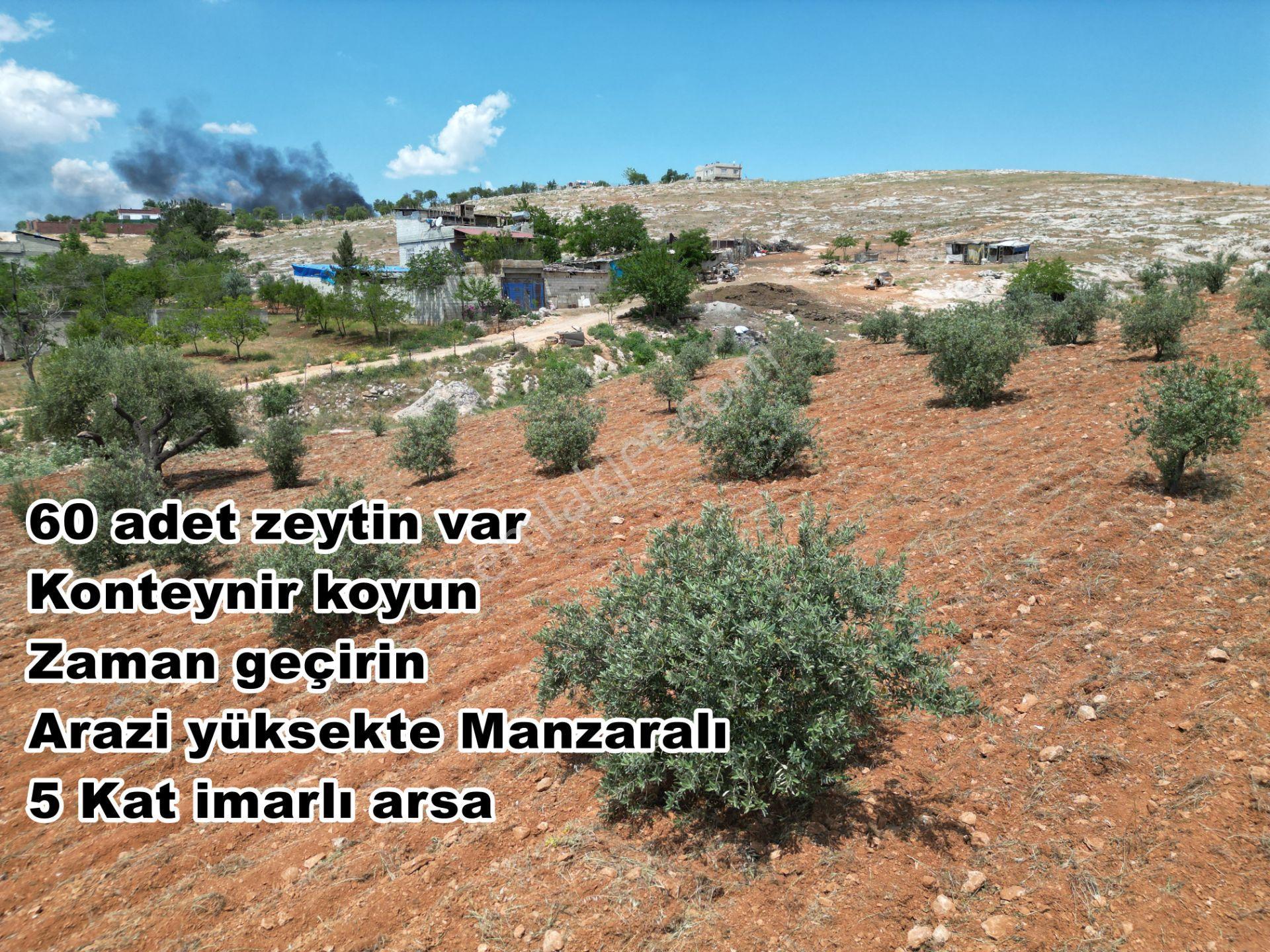 Şahinbey Osmanlı Kurtuluş Mah. Zeytin Bahçesi 5 Kat İmarlı Arsa - Görsel 10