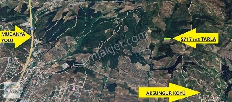 Aksungur 'da Satılık Tarla