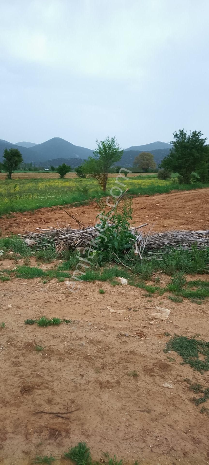 Burdur Ağlasun Hisarköy' De Kadastro Yolu Sulama Suyu Olan Satılık Tarla