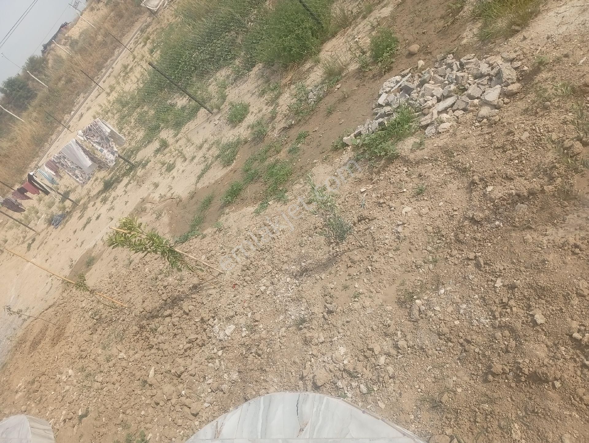 Sarıçam Beyceli'de Tek Katlı Satılık Yeni Yapı Müstakil Ev - Görsel 4