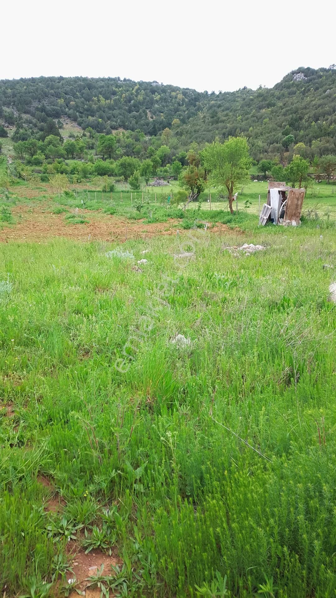 Burdur Ağlasun Hisarköy Muhteşem Konumda Yol Su Sorunu Olmayan Satılık Tarla - Görsel 5