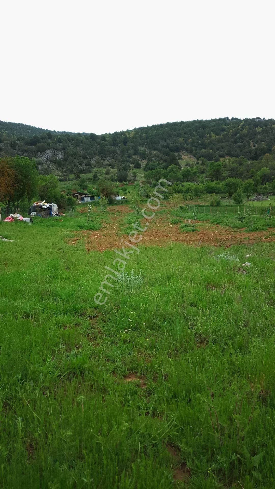 Burdur Ağlasun Hisarköy Muhteşem Konumda Yol Su Sorunu Olmayan Satılık Tarla