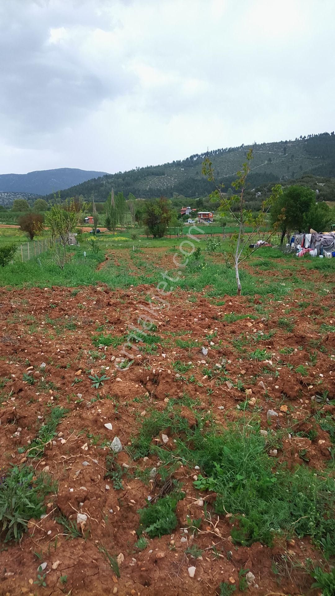 Burdur Ağlasun Hisarköy Muhteşem Konumda Yol Su Sorunu Olmayan Satılık Tarla - Görsel 10
