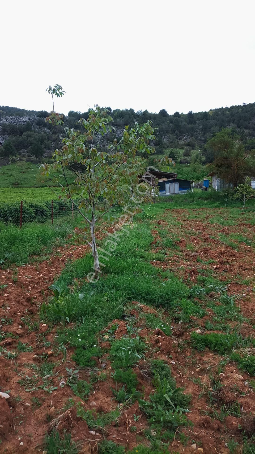 Burdur Ağlasun Hisarköy Muhteşem Konumda Yol Su Sorunu Olmayan Satılık Tarla - Görsel 9
