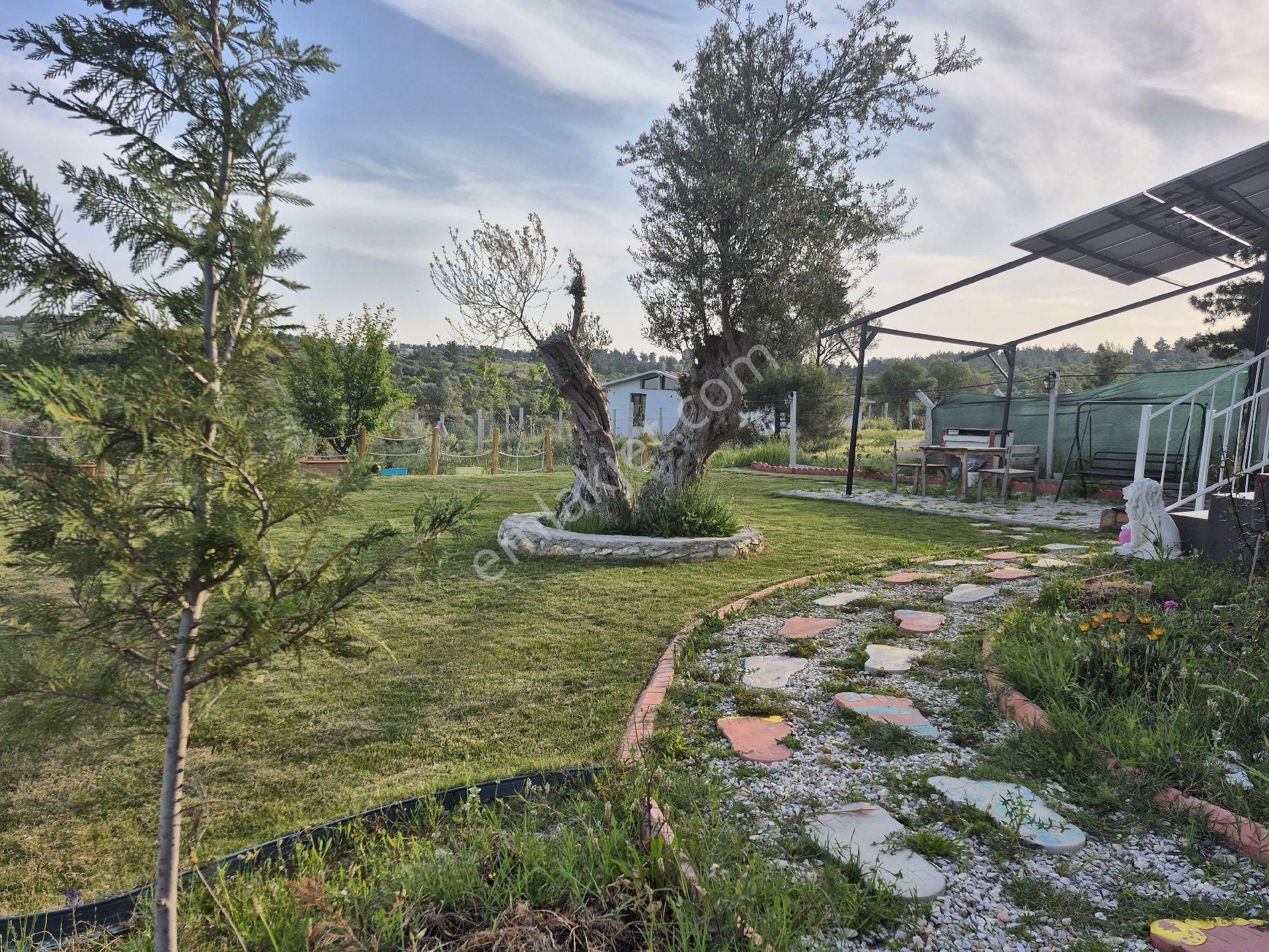 İzmir Menderes Akçaköy'de 800 M2 Arsa İçinde Müstakil Ev - Görsel 6