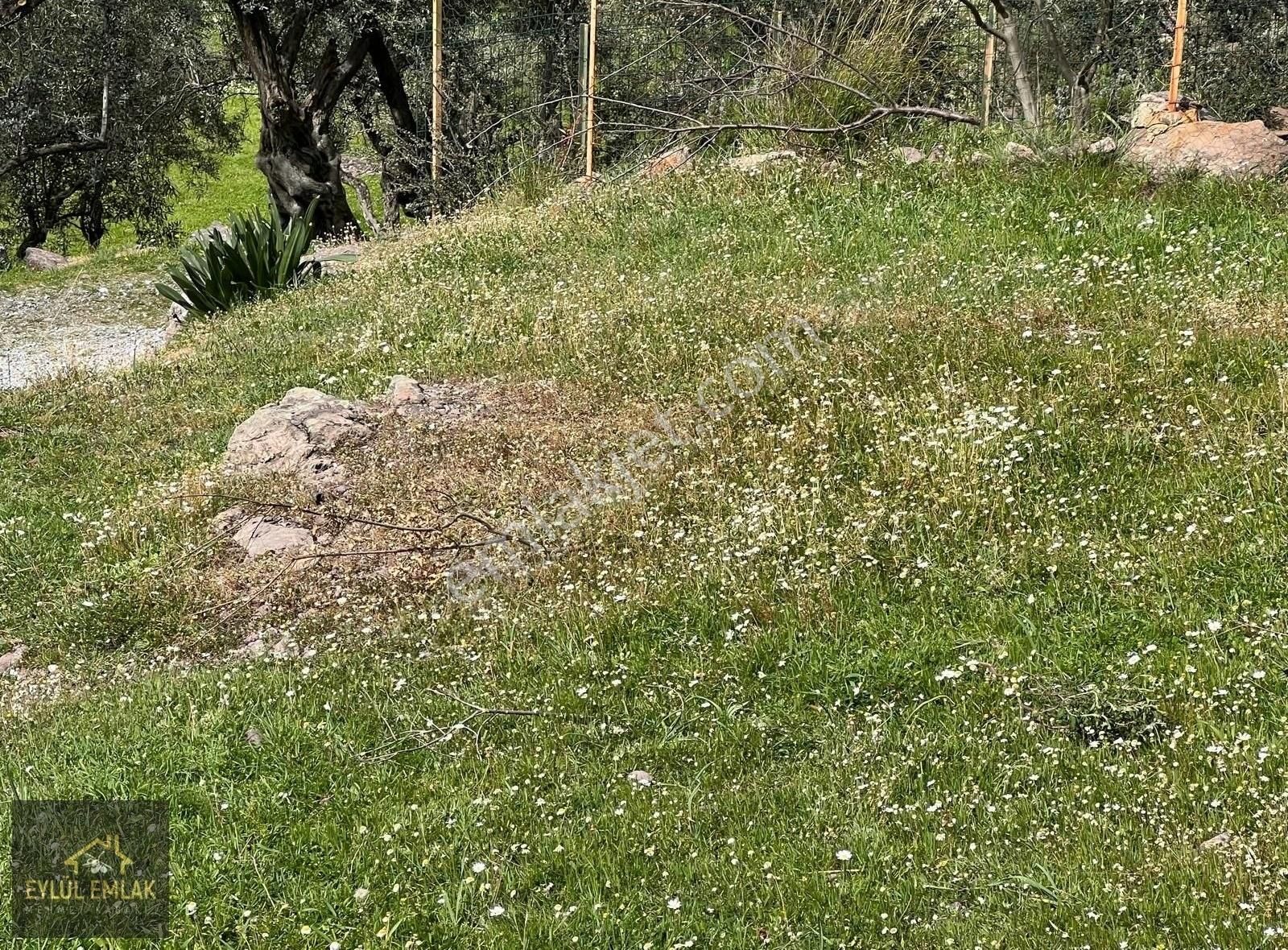 Bodrum Gökpınarda Satılık Arsa - Görsel 6