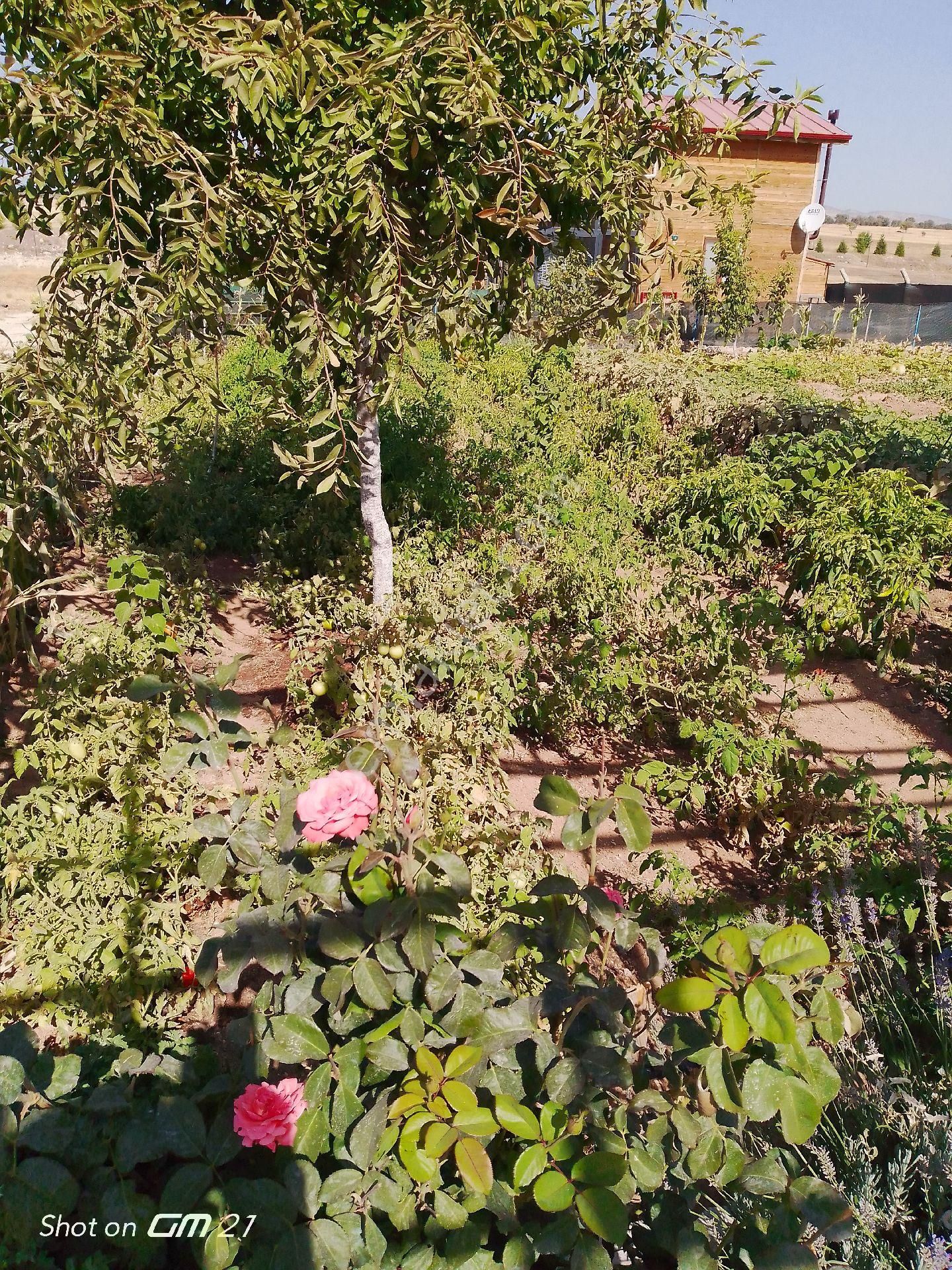 Yeşil Kanyon Hobi Bahçesinde 302 M2 Arsa