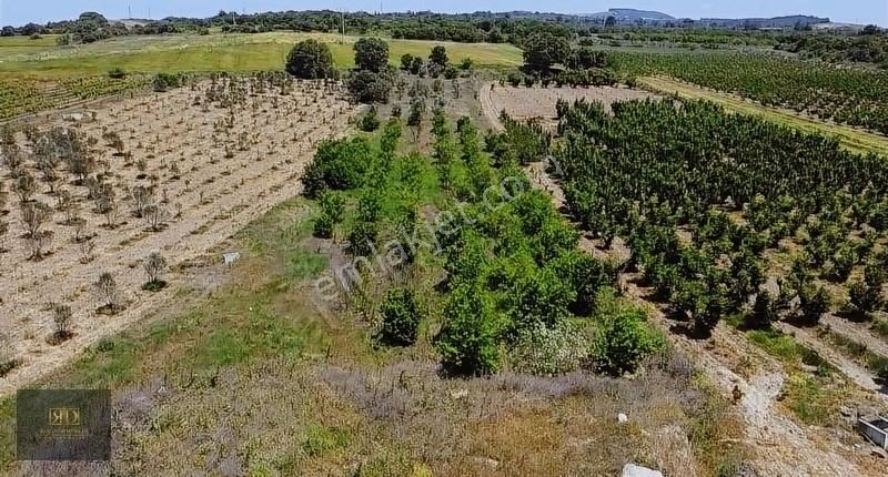 Çanakkale-lapseki-umurbey'de 5.807 M² Tarla