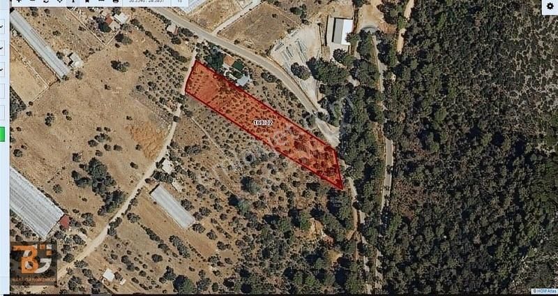 Kaş Çayköyde 6343 M2 Tek Tapu Uygun Yatırımlık Fırsat Arazi