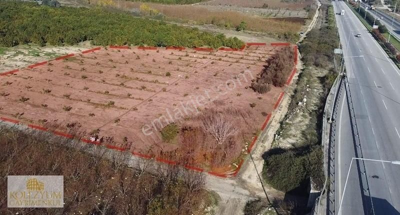 Kolezyumdan Akdeniz Iğdır Da Güney Cepheli Hisseli Satılık Bahçe