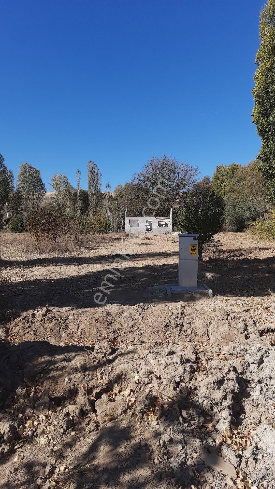 Fırsat Arazisi