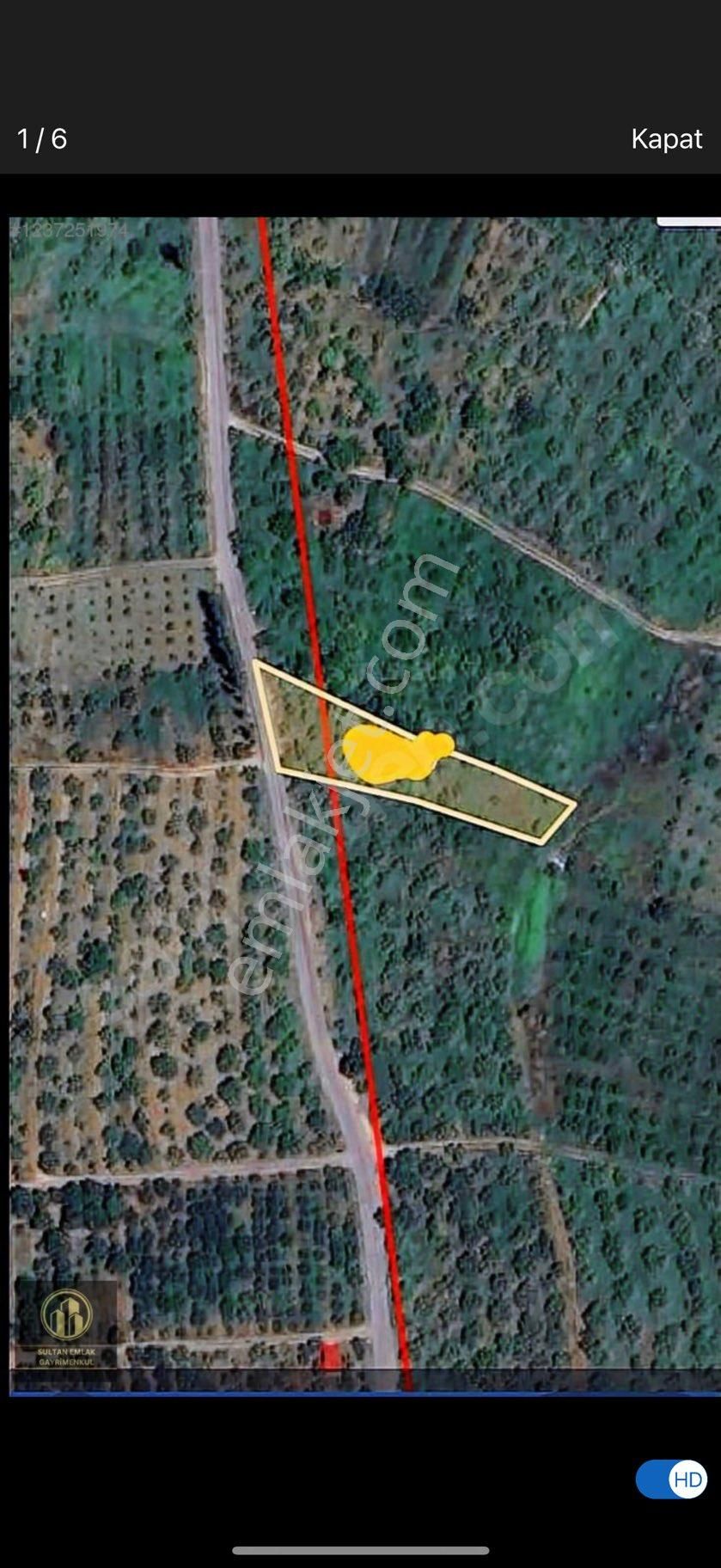 1350m2 Hazır Elma Bahçesi