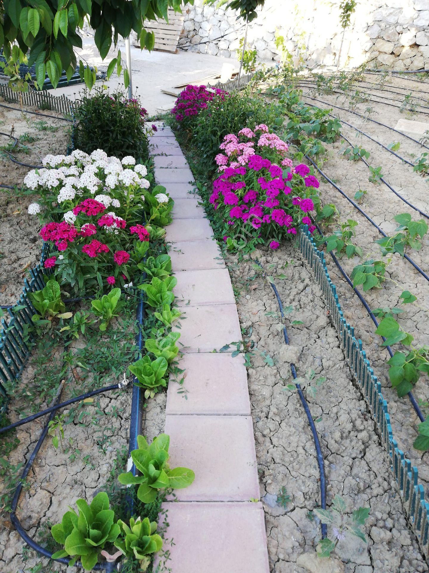 Feslikan Yaylasında Yazlık Dağ Evi - Görsel 12