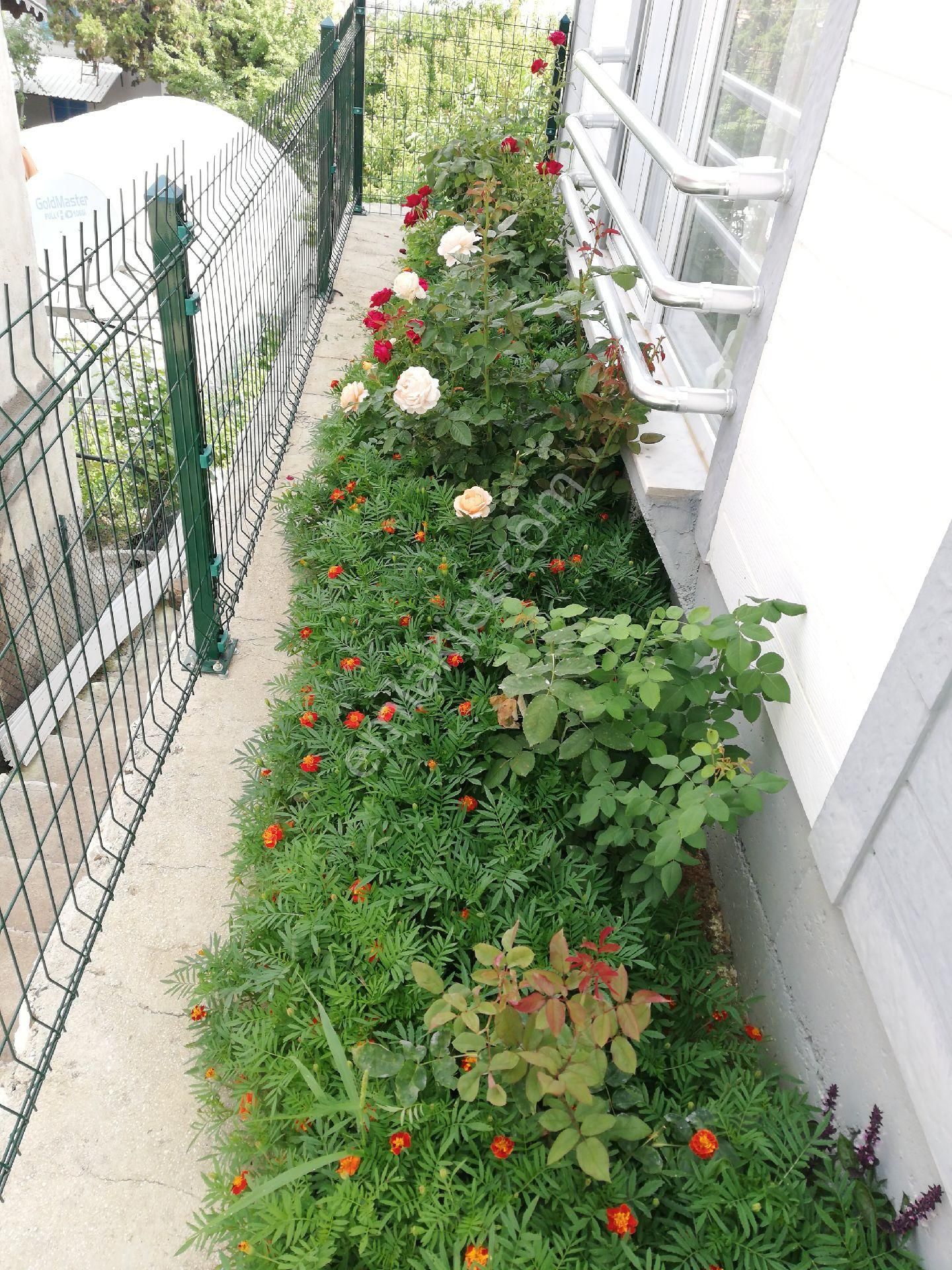 Feslikan Yaylasında Yazlık Dağ Evi - Görsel 3