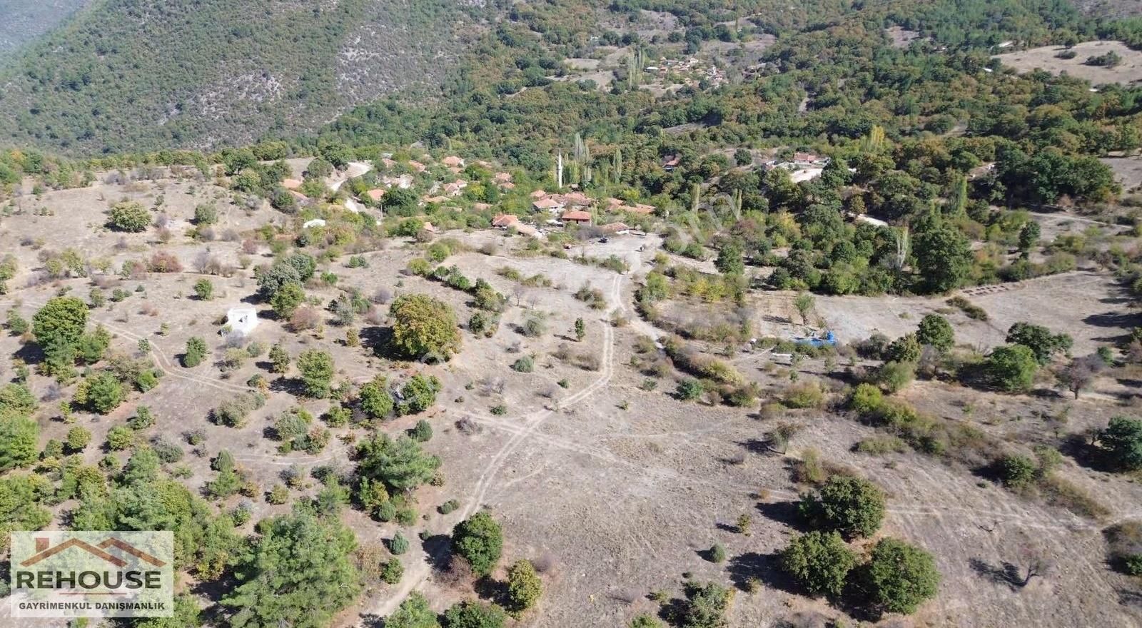Fırsat ! İmarın Sınırında Resmî Yollu 1.552 M2 Köy İçi Bahçe